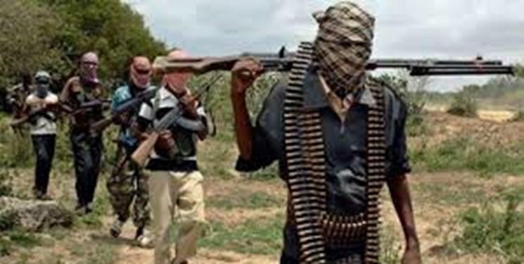 کشته شدن 120 تروریست در عملیات نظامی در نیجر