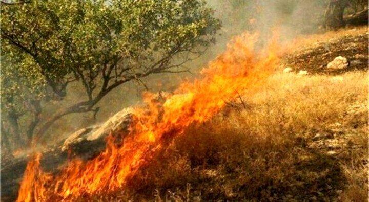 پاییز بدون حریق در مناطق چهارگانه استان تهران