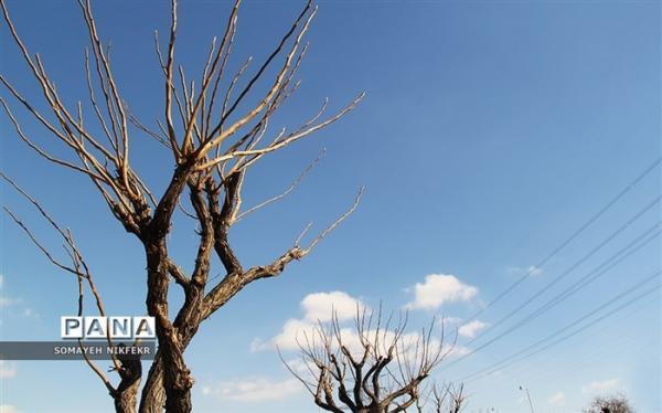 هوای پایتخت پاک است