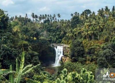 آبشار تیگینونگان بالی؛ جاذبه ای که شما را مبهوت می کند!