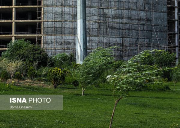 وزش باد شدید در تهران وزش باد شدید در تهران
