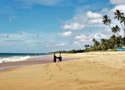 برترین زمان برای سفر به سریلانکا چه زمانی است؟